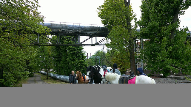 Зоопарк Калининграда